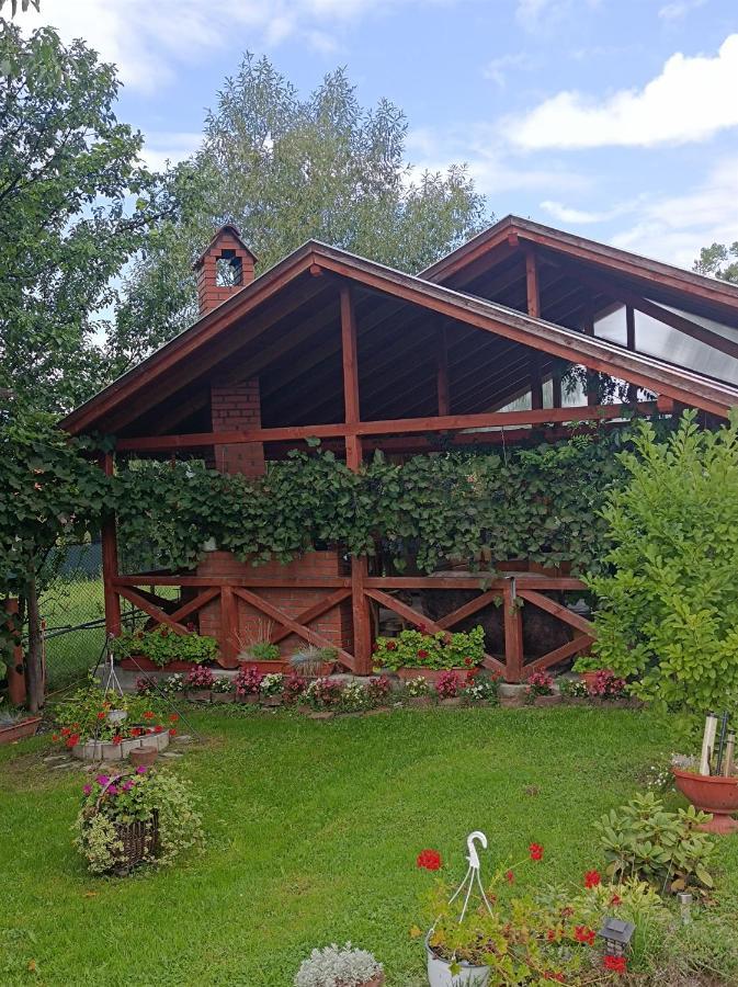 Narcisz B&B Corund  Exterior photo