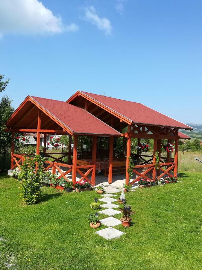 Narcisz B&B Corund  Exterior photo
